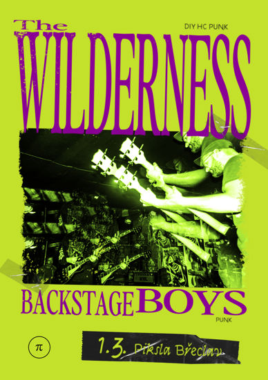 Wilderness & Backstage boys