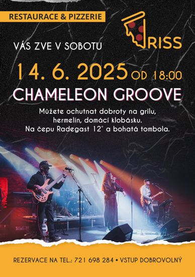 Chameleon Groove