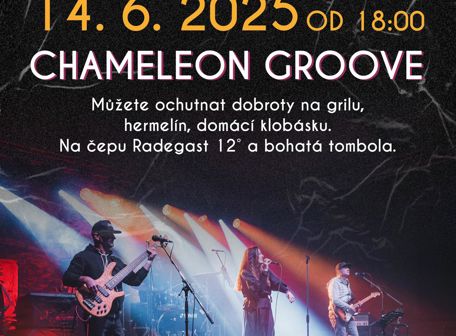 Chameleon Groove