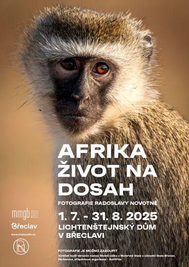 Afrika - život na dosah