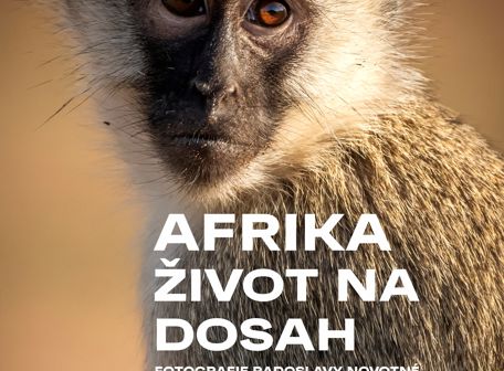 Afrika - život na dosah