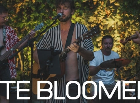 Late Bloomers