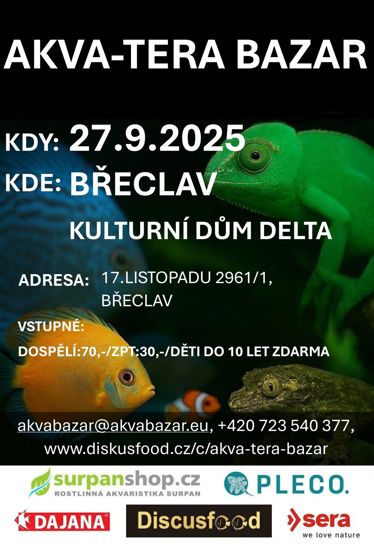 Akva Tera Bazar
