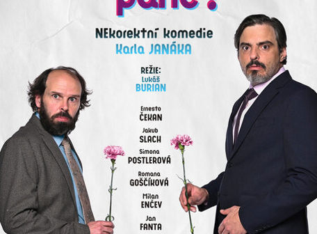 Vy nejste žena, pane!