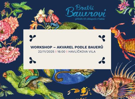 Workshop: Akvarel podle Bauerů