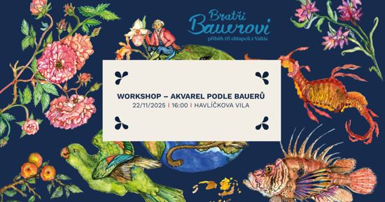 Workshop: Akvarel podle Bauerů