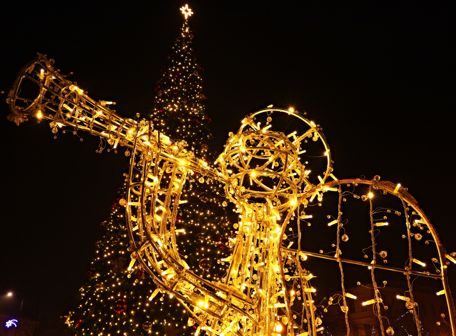 Předvánoční blešák na pěší zóně