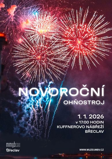 Novoroční ohňostroj