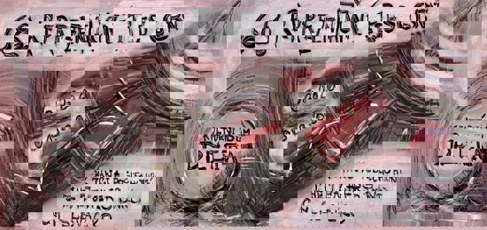 Ples Gymnázia Břeclav