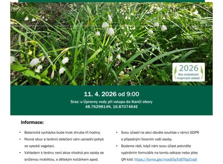 Jarní aspekt v luhu