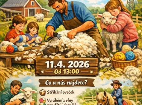 Stříhání oveček