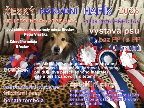 ČESKÝ NÁRODNÍ HAFÍK