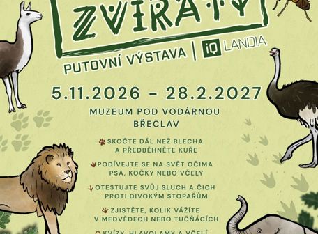 Mezi námi zvířaty
