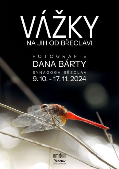 Vážky na jih od Břeclavi