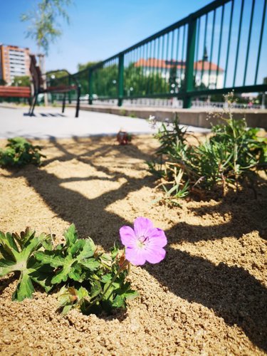 Komenského nábřeží - oprava komunikace