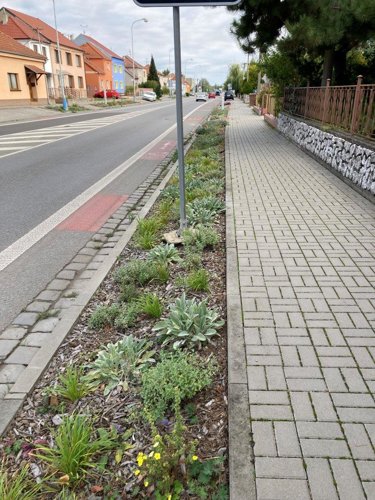 Ozelenění severozápadní části města (Stará Břeclav)