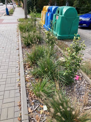 Ozelenění severozápadní části města (Stará Břeclav)