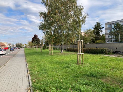 Ozelenění severozápadní části města (Stará Břeclav)