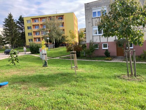 Ozelenění severozápadní části města (Stará Břeclav)