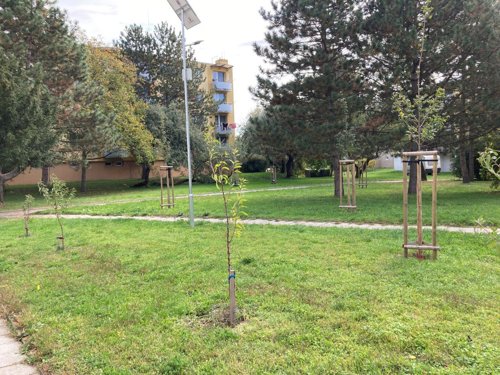 Ozelenění severozápadní části města (Stará Břeclav)