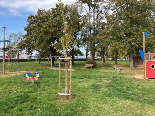 Ozelenění severozápadní části města (Stará Břeclav)