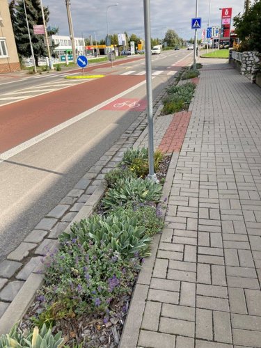 Ozelenění severozápadní části města (Stará Břeclav)