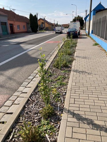 Ozelenění severozápadní části města (Stará Břeclav)