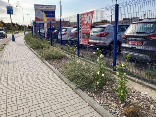 Ozelenění severozápadní části města (Stará Břeclav)